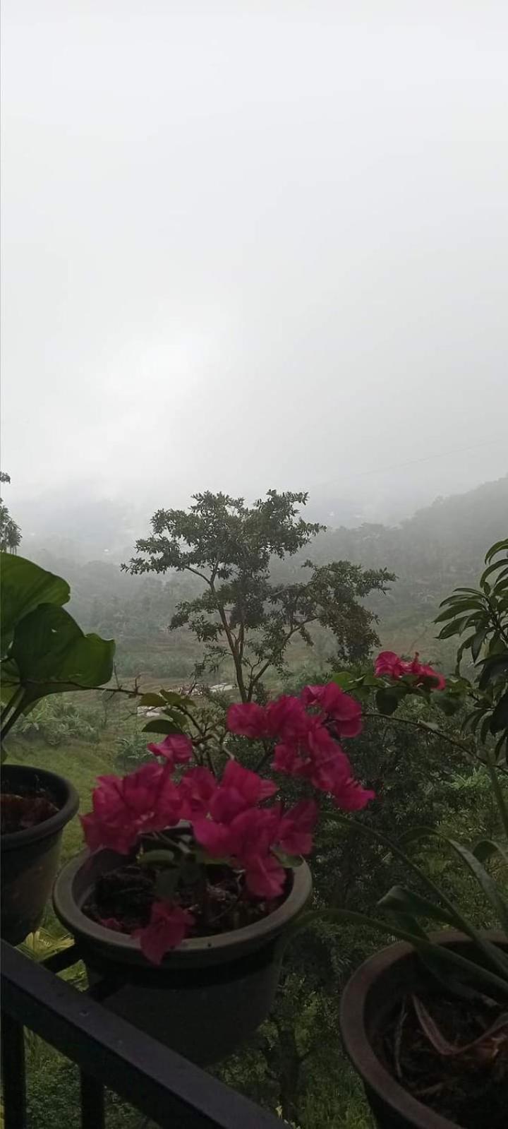 Kandy Ivy Mountain View Resort Esterno foto